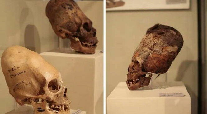 Необычные черепа древних правителей: кому они могли принадлежать на самом деле