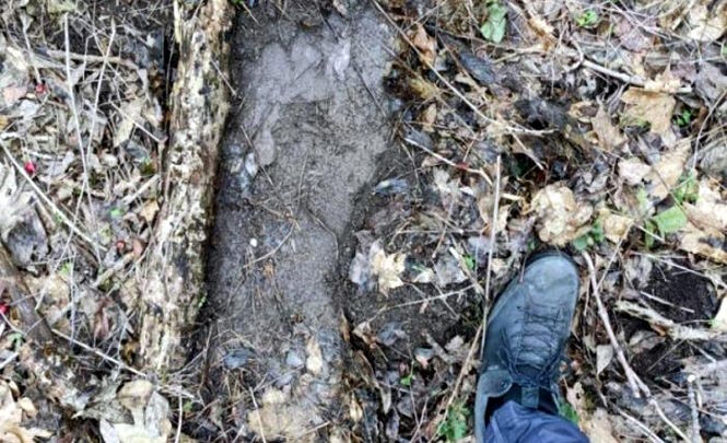 Гигантские следы нашли у пещеры в лесу Железноводска