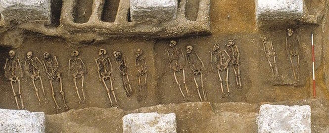 "Черная смерть" опустошившая Европу в 14 веке повлияла на эволюцию человека