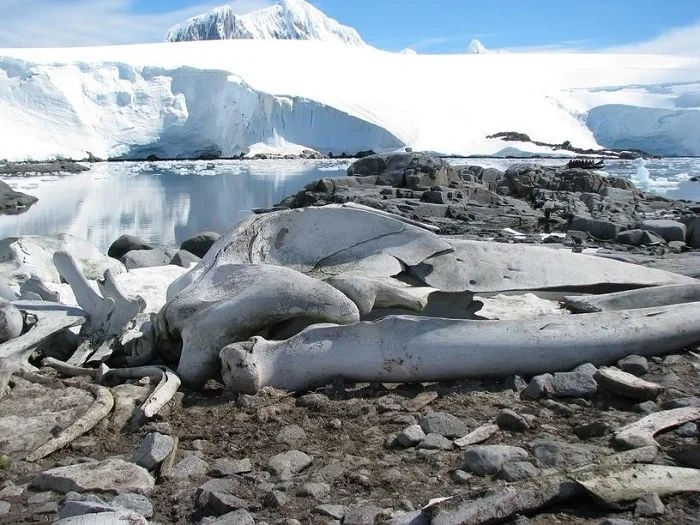 Что обнажают тающие льды Антарктиды