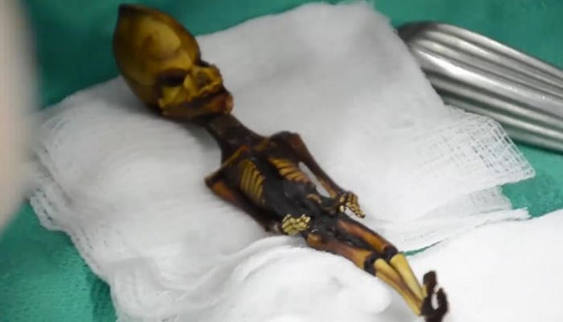 Тайна шестидюймового скелета с конической головой