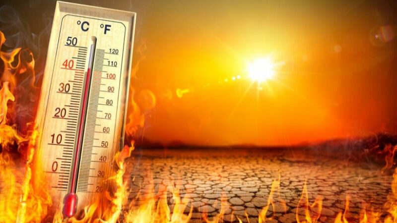 Ученые: Европа и Центральная Америка должны приготовиться к экстремальным волнам жары