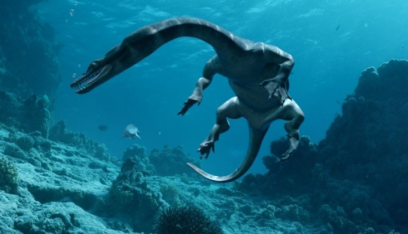 Таинственное существо запечатлели плавающим в лагуне Нового Орлеана