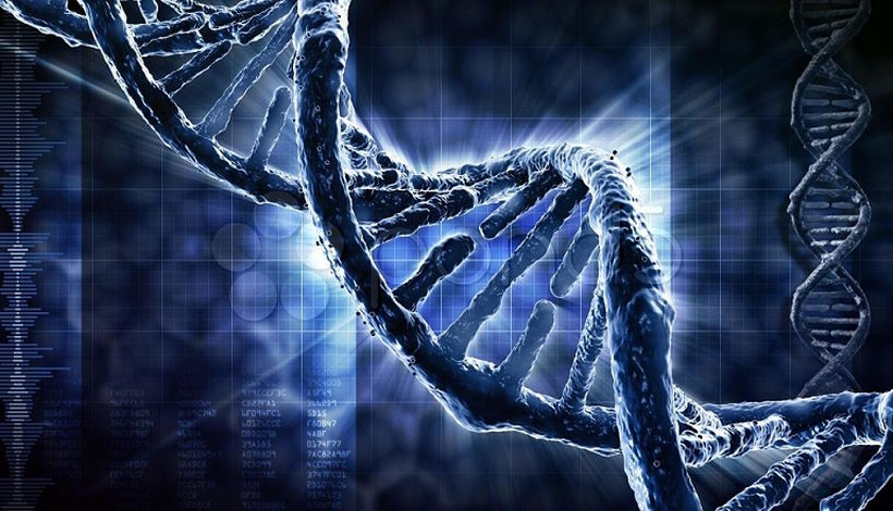 Открытие ученых: потеря фрагментов ДНК у людей - не случайность