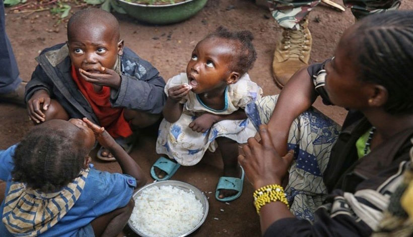 Мир на грани голода: Прогноз ООН на 2023 год