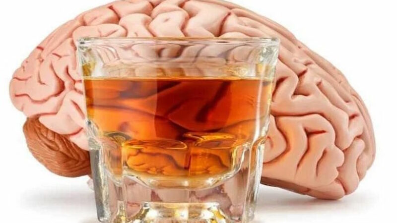 Как алкоголь влияет на наш организм: научный взгляд на проблему