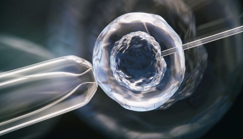 Ученые разработали синтетические человеческие эмбрионы без сперматозоидов и яйцеклеток