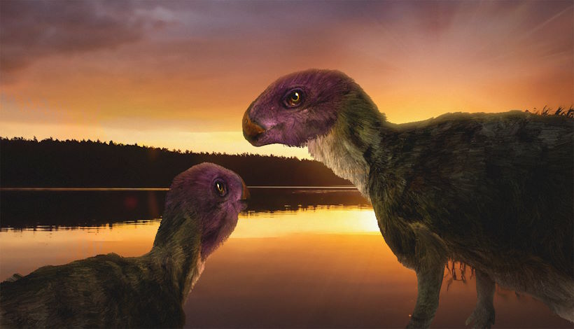 Недавно был обнаружен новый вид динозавров
