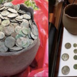 Металлоискатель обнаружил тайник с древними монетами