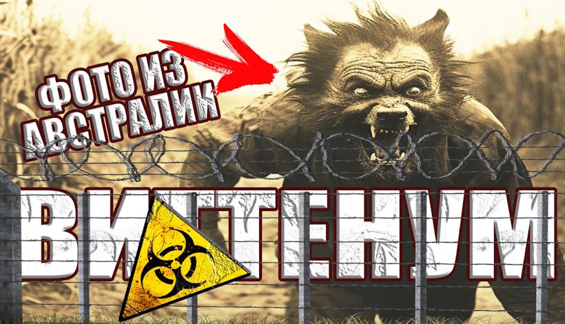 Город-Призрак Виттенум: Самое опасное место на Земле находится рядом с Забором Австралии (ВИДЕО)