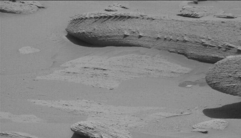Похожий на позвоночник камень — последняя странность с Марса