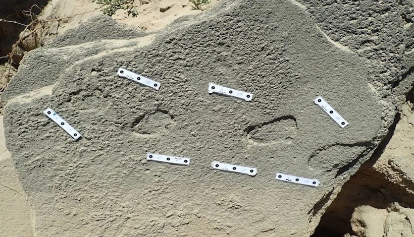 Древние отпечатки ног свидетельствуют о том, что ранние люди носили обувь более 100 000 лет назад