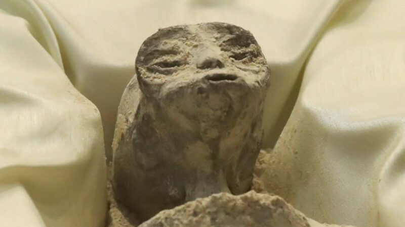 Ученые оценили заявление о “мумиях пришельцев”, сделанное в мексиканском конгрессе