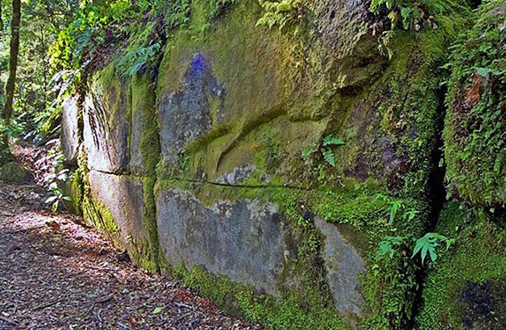 Таинственные руины в лесу Кайманава: загадка “Великой стены Новой Зеландии”
