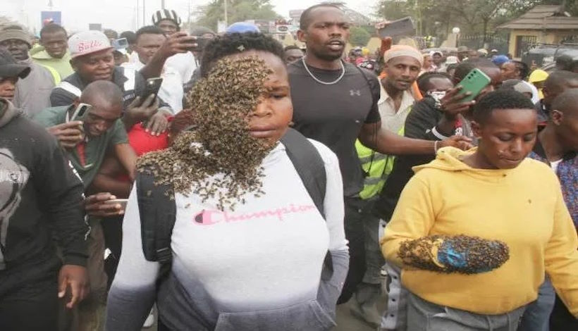 Кенийский колдун нашел воров с помощью роя пчел