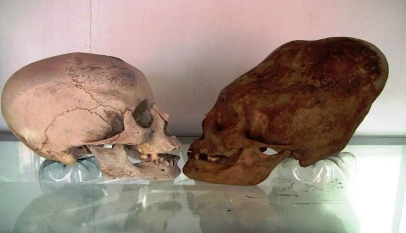 Загадочные черепа Паракаса: свидетельства существования древней расы и их встречи с "белыми богами"