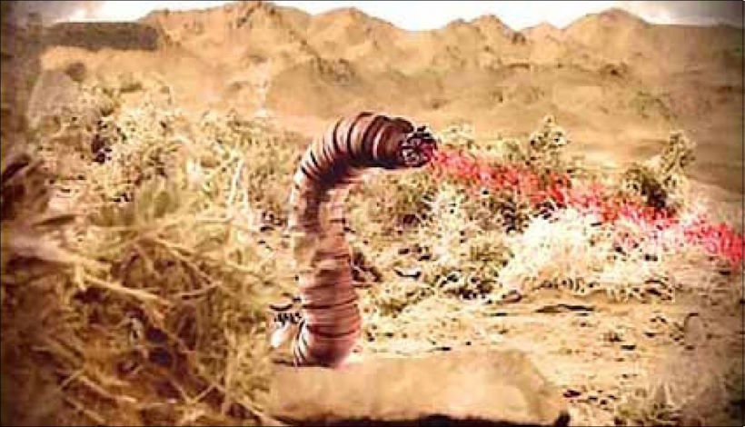 Монгольский червь смерти: загадочное существо пустыни Гоби