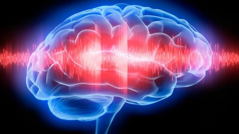 Ученые обнаружили: белое вещество мозга излучает мощные, загадочные сигналы