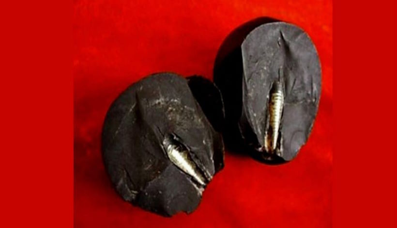 Ланьчжоуский камень: загадочный артефакт из далекого прошлого