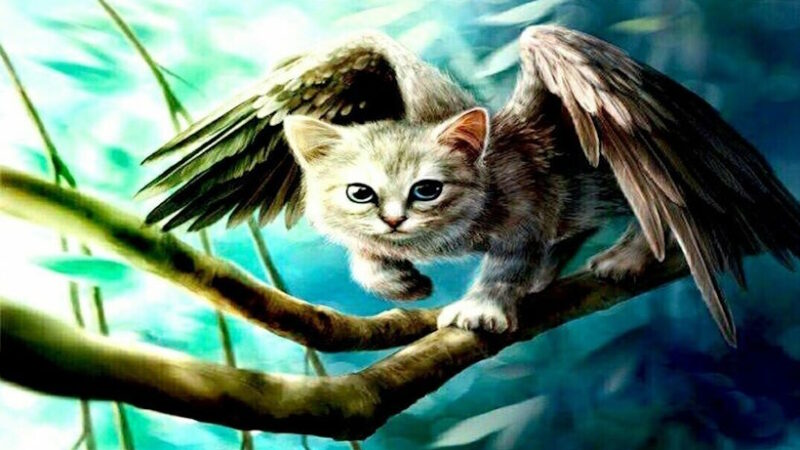 Кошки – падшие ангелы?