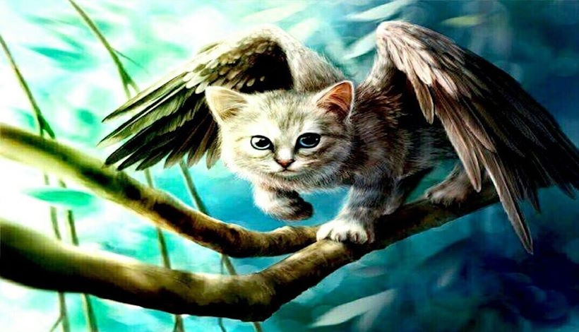 Кошки - падшие ангелы?