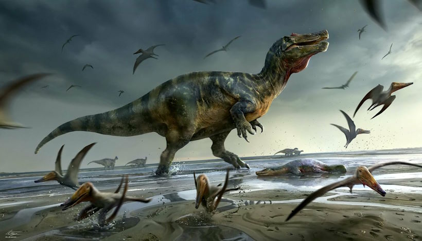 Динозавры виноваты в том, что люди не могут прожить дольше, объясняет новая теория