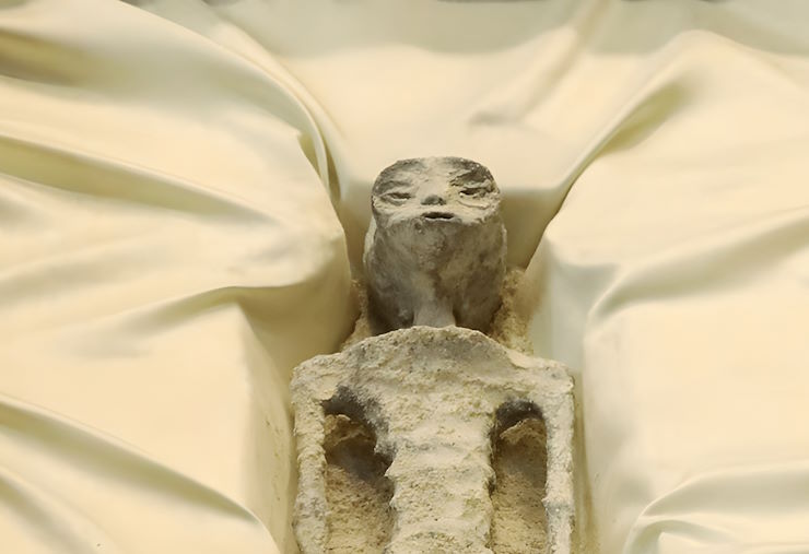 Саркофаг и три человекоподобные мумии. Что было вывезено из Антарктиды в США в 1961 году?