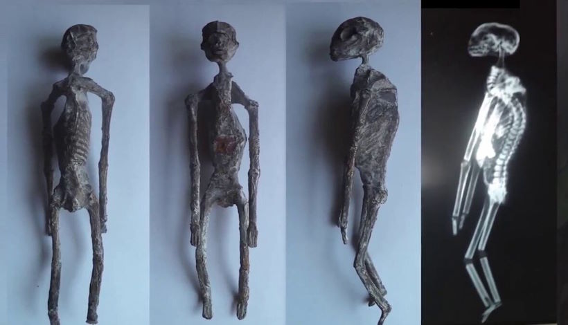 Саркофаг и три человекоподобные мумии. Что было вывезено из Антарктиды в США в 1961 году?