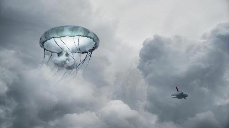 Бывший аналитик Корпуса морской пехоты рассказывает о многолетнем преследовании “медузой НЛО” во время военных встреч в Ираке