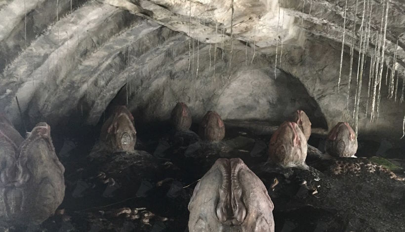 Советский исследователь наткнулся на коконы пришельцев в пещере в Самарской области