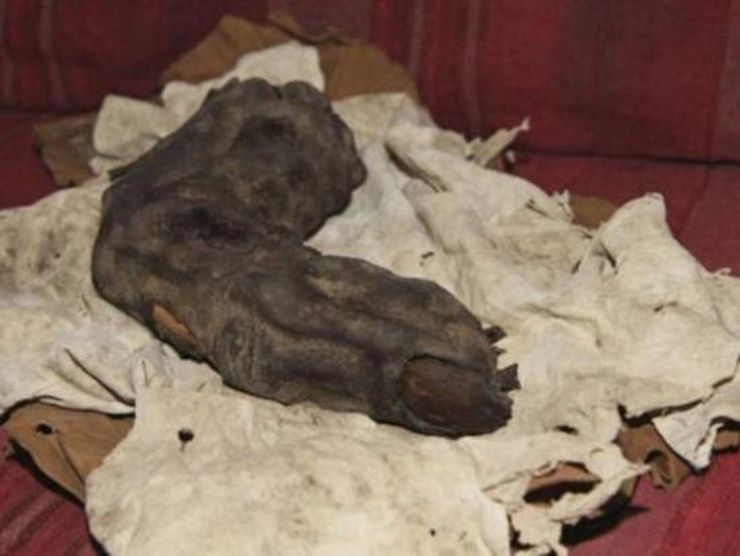 Палец длиной 38 см, найденный в Египте: доказательство существования нефилимов?