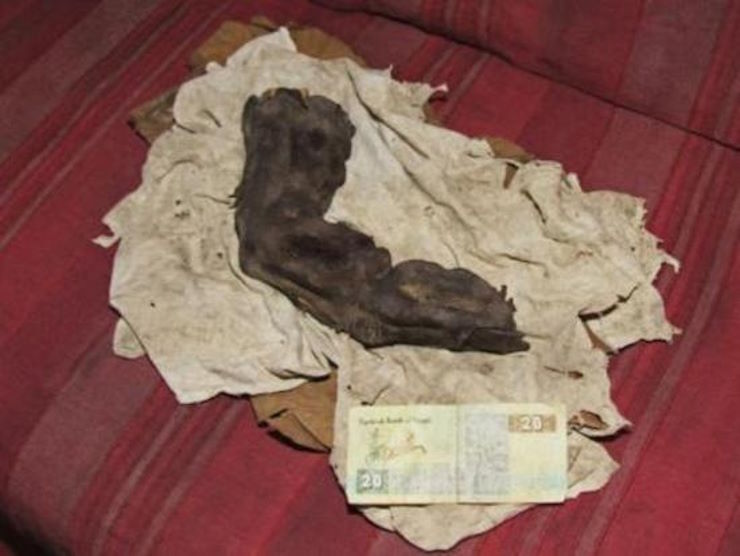 Палец длиной 38 см, найденный в Египте: доказательство существования нефилимов?