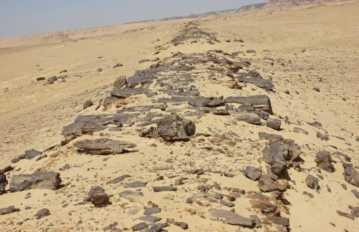 Археологи обнаружили в Египте древнейшую в мире асфальтированную дорогу