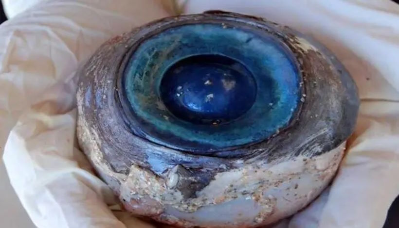 Ученые гадают, кому принадлежит гигантский глаз.