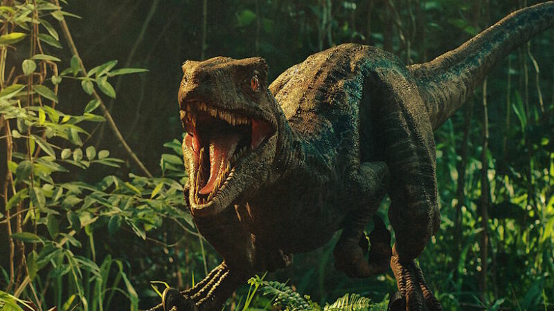 Нашествие динозавров в 2014 году? 120 жалоб в полицию от жителей Индонезии