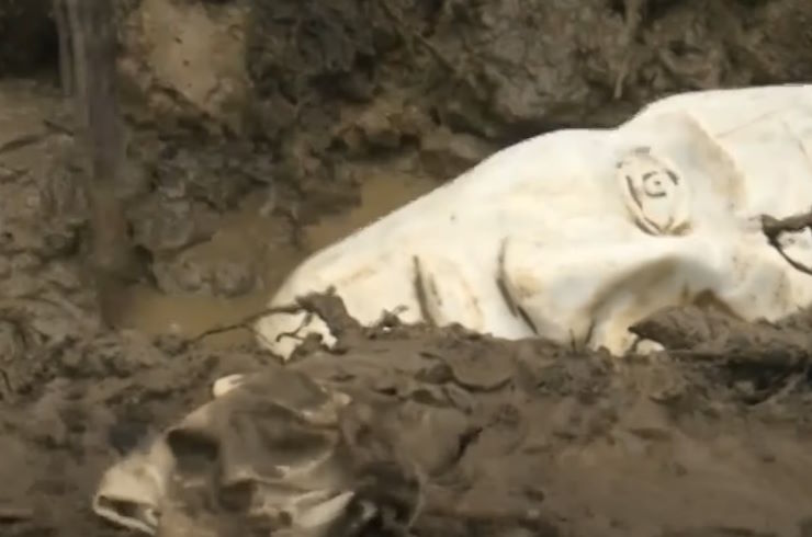 "Опять культурный слой?": В Петербурге случайно обнаружили античную статую под слоем глины