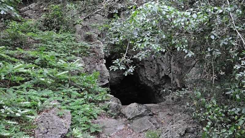 Пещера смерти в Коста-Рике кажется безобидной, но может мгновенно убить любого, кто окажется у входа