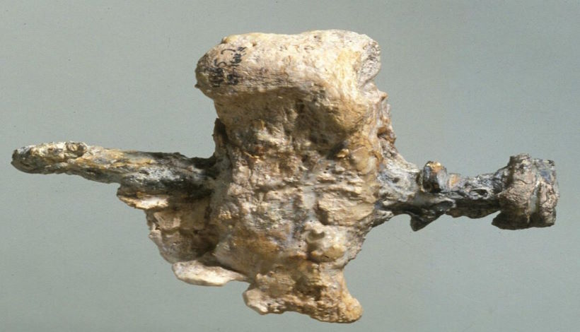 В песчанике возрастом 400 миллионов лет обнаружен вмурованный гвоздь. Что показала экспертиза?