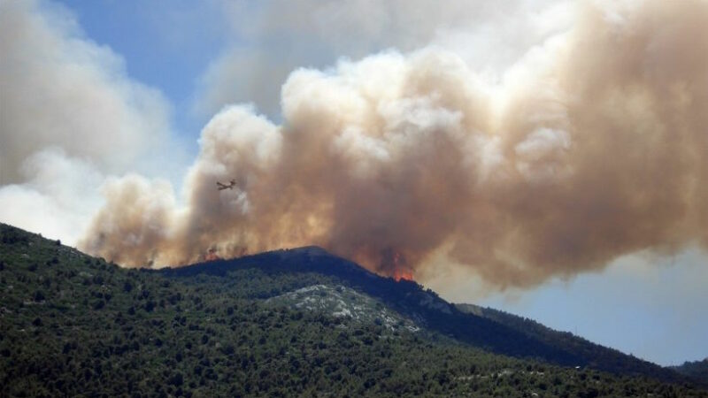Дым от лесных пожаров: Вот как этот фактор загрязнения воздуха представляет значительную опасность для здоровь