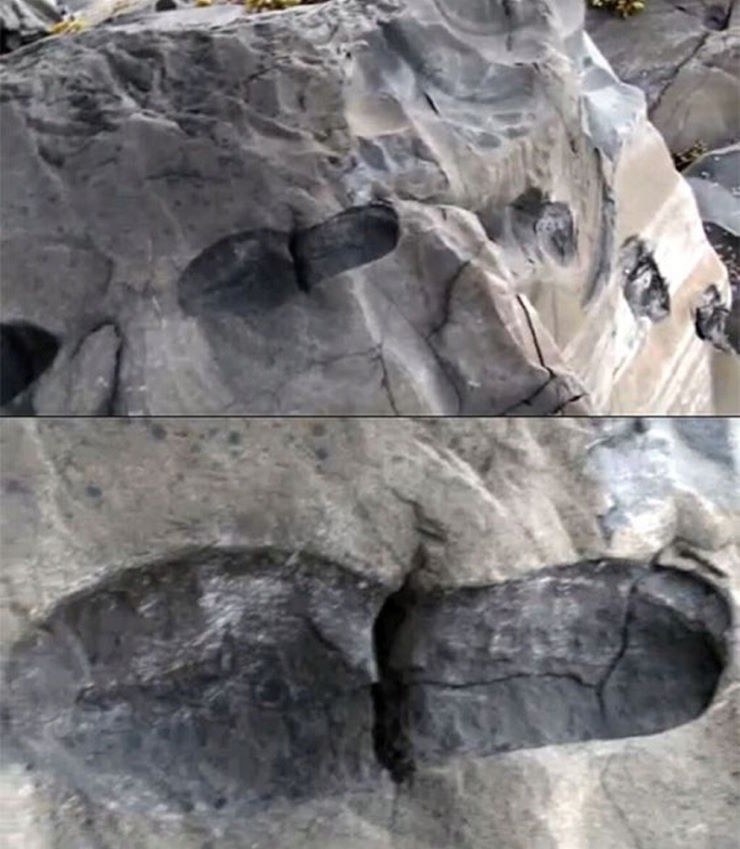 Кто наследил 480 миллионов лет назад? В Индии найдена цепочка следов от раскалённых ботинок