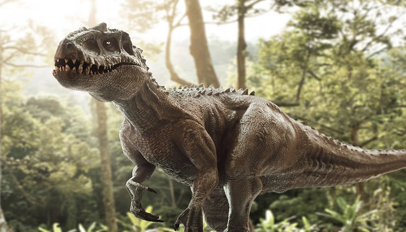 На Земле началось шестое Великое вымирание, когда в последний раз исчезли динозавры. Кто исчезнет теперь?