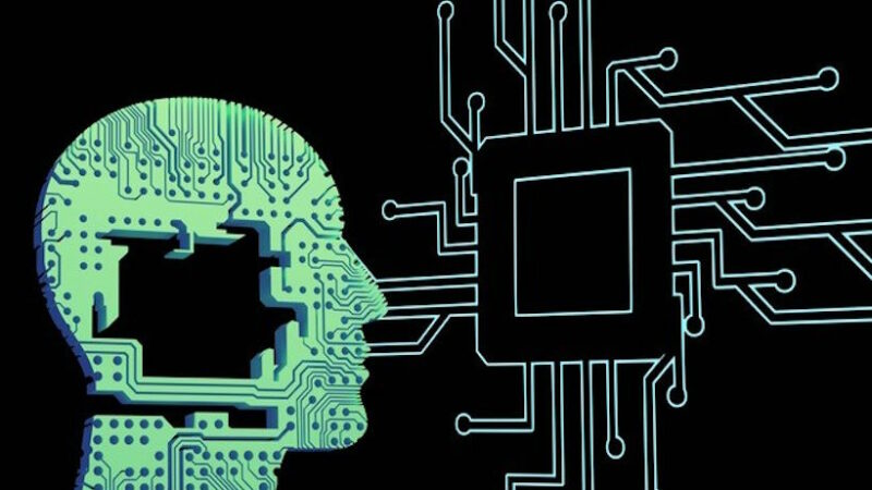 Первый в мире “живой компьютер”, созданный из ткани человеческого мозга; превращается ли эта научная фантастика в реальность?