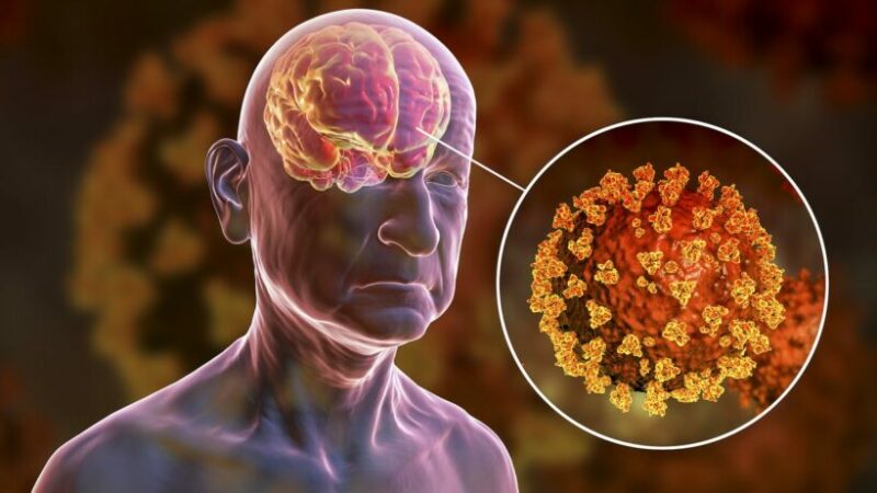 Вирус, вызывающий COVID-19, использует секретный “черный ход” для заражения мозга