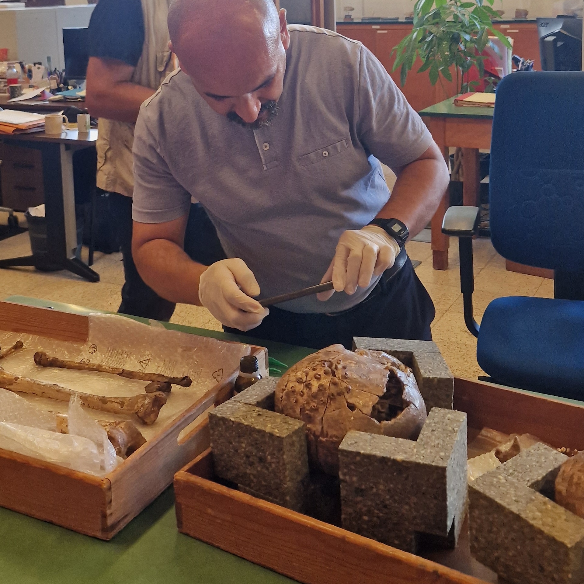 A man bends over a broken skull and bones in an archaeology lab