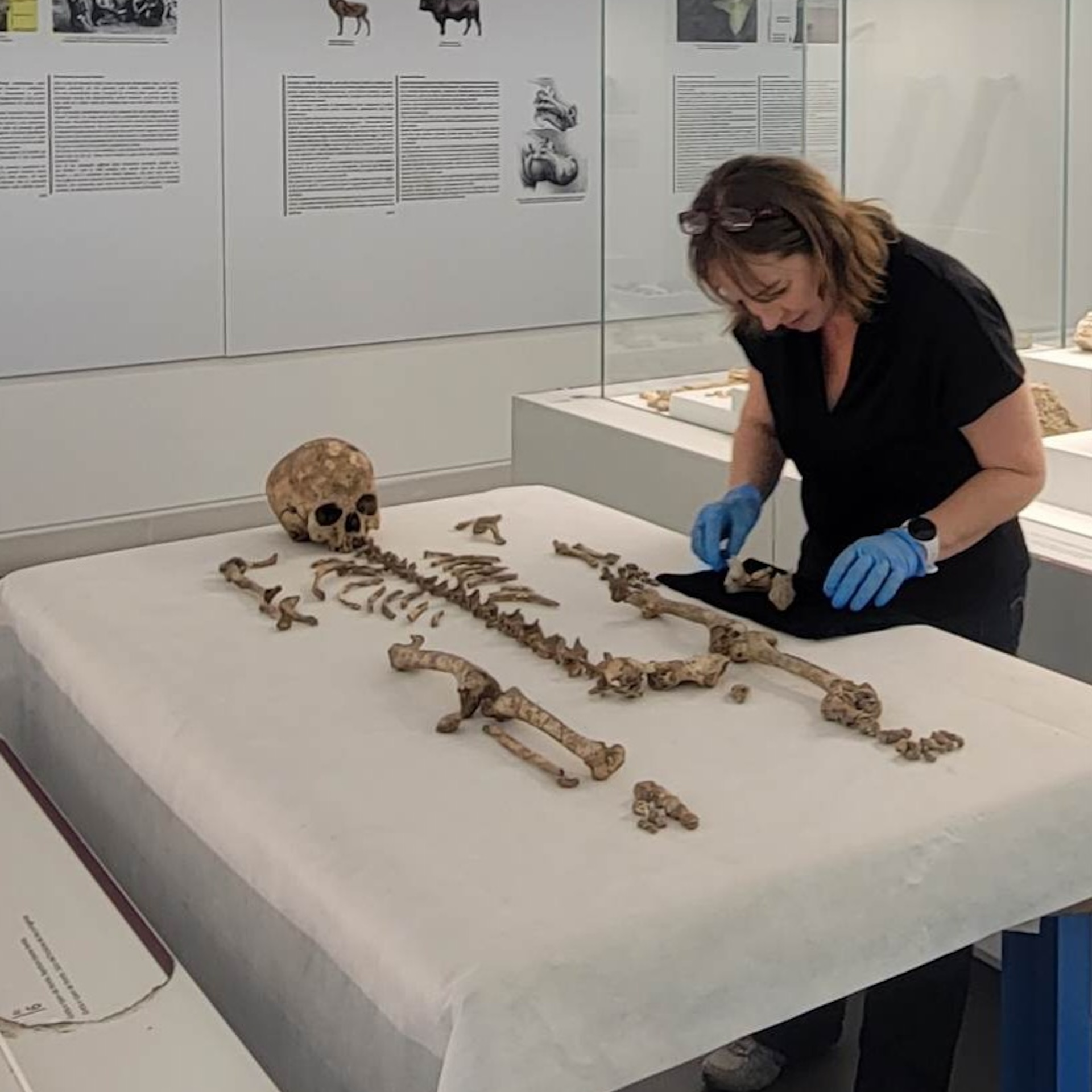 A woman bends over an small, assembled partial skeleton in a lab