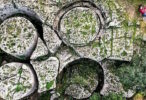 Тайны каменных исполинов: почему современный человек не способен повторить подвиги древних?
