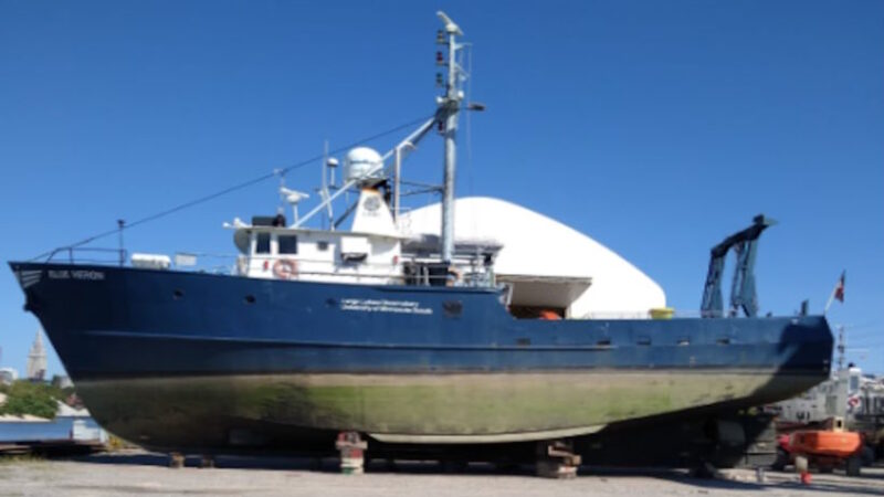 ShipGoo 001: Загадочная Слизь из Недр Судна – Новая Форма Жизни в Озере Эри?