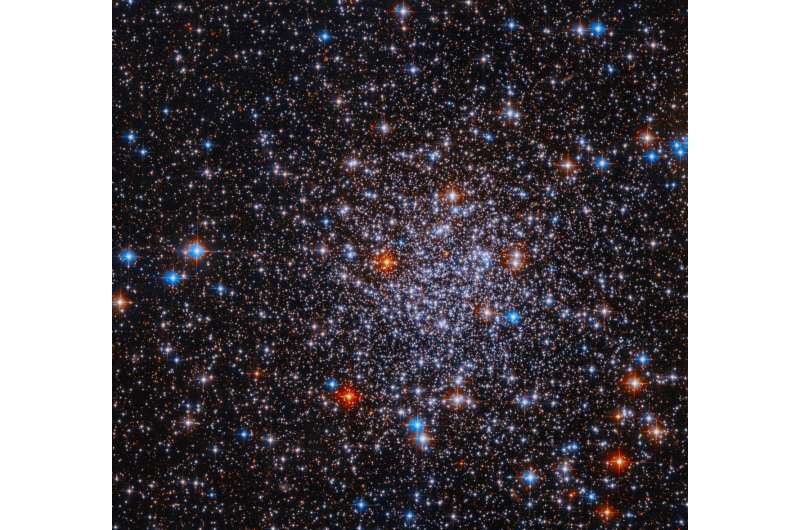 Неизведанное скопление ESO 591-12: разноцветные звёзды в объективе Hubble