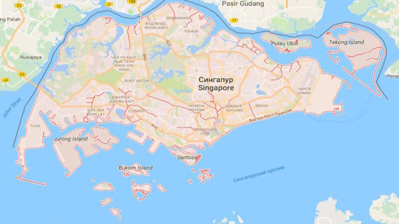 Виза в Сингапур самостоятельно: полное руководство