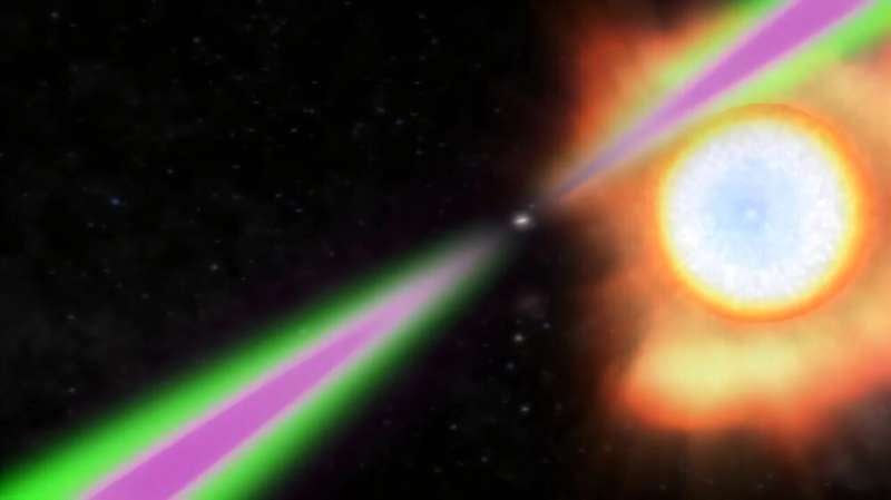 The spiders that eat stars, and the scientists who catch them
